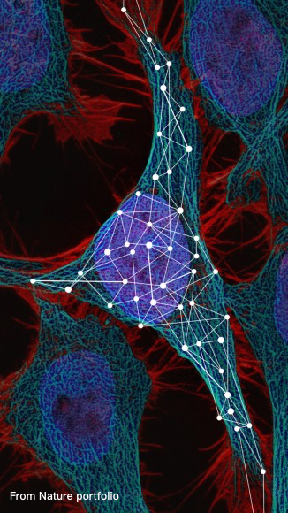 Research Image